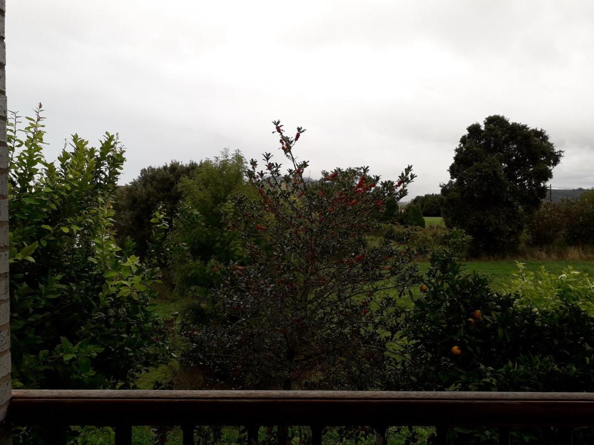 Apartamentos Los Frutales Arnuero Dış mekan fotoğraf
